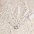 Pikkukuva 4 / 5: Pullo- ja putkenpesuharjat pulloille, kannuille ja teekannuille (valkoinen) - 10 kpl HIASDFLS
