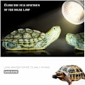 Miniatyrbillede 3 af 5: Reptillampe Skildpaddelampe Akvariumvarmer Lys 25W UVA UVB med Lang Base 360° Rotation til Reptiler og Amfibier [Energiklasse A+]