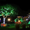 Miniatyrbilde 2 av 5: Lyslenke Karneval Bryllup Utendørs Innendørs Hagebelysning, LED Eventyrlys Treet Lys Festlige Treet Lys Juledekorasjon, Grønn, 10M 100 L