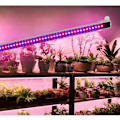 Miniatyrbild 2 av 5: Växtlampa med automatisk på/av-timerfunktion, utrustad med 48 LED-lampor för att främja tillväxten av inomhusväxter.