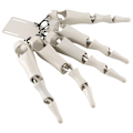 Pikkukuva 2 / 5: Valkoinen Halloween nivelletty sormiluukädet Realistinen kauhu Ghost Claw Props Sormi