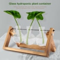 Miniatyrbild 4 av 5: Skrivbord Glas Planter Glödlampa Vas Luftväxt Terrarium med Trä Hållare för Hydroponiska Växter Sticklingar Kontorsdekoration