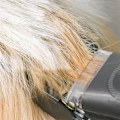 Miniatyrbilde 3 av 5: Elektrisk Hårklipper for Kjæledyr V6/ V7/ V8/ V10/ V11/ V15 - Hårklippersett for Katt og Hund