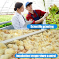 Miniatyrbillede 3 af 5: 6 stk. Digital temperaturregulator termostat programmerbar switch modul minus 50 til 110 grader opvarmning køling