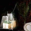 Miniatyrbillede 2 af 5: LED Grolys - 12H Automatisk Tidsstyring Justerbar Ring til Havepotteplanter Starter
