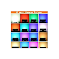 Pikkukuva 2 / 5: 4 kpl himmennettäviä RGB LED-ulkovalaisimia, IP66 vedenkestävä kaukosäätimellä, 16 väriä, 4 valaistustilaa ulko- ja sisätiloihin