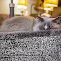 Miniatyrbillede 4 af 5: Hjerteformet kæledyrs seng til katte hunde bomuld fløjl blød killing hvalp sovesenge kennel varm kæledyrs rede kat tilbehør 55x19cmPink