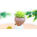 Miniatyrbild 4 av 5: Söt hund blomkruka djurharts suckulent växt skrivbord mini prydnad snigel pojke stygg