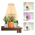 Miniatyrbild 2 av 5: LED-växtlampa, Halo-lampa för inomhusväxt odling, 2/4/8 timmars automatisk timer, för bonsai, suckulenter, små växter