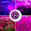 Miniatyrbilde 5 av 5: LED plantelysstrimler Vanntett Full Spectrum Innendørs Plante Sukkulent Hydroponics Drivhus Hagearbeid USB Lysstenger(3M)