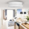 Miniatyrbild 4 av 5: LaBlanc Smart rökdetektor - NF-standard - Fotoelektrisk sensor - 2-pack - Utseendet är något annorlunda