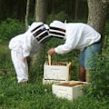Miniatyrbilde 4 av 5: Bienekeeperdrakt, Bieneholdutstyr med hansker Barnedrakt for Bienehold - Langærmet bomull, Barnebeskyttelse, Bieneholdutstyr (M, Hvit)