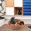 Pikkukuva 3 / 5: Donitsi-koiran ja -kissan peti, pehmeä plushipehmuste, liukumaton konepesu, itsestään lämpenevä lemmikkipetti - parempi uni kissoille ja pienille ja keskikokoisille koirille (useita kokoja