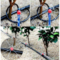 Miniatyrbillede 4 af 5: 100 stk drypvanding justerbar dryp automatisk vandingssystem slange dryp mikro sprinklere emitter dryppere til plante drivhus DIY have