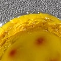 Pikkukuva 3 / 5: 3D Jääkaapin Magneetit Luovuus Magneettinen Tarra Simulointi Ruoka Muna Viesti Tarra Magneettinen Tahna