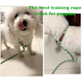 Miniatyrbilde 3 av 5: Sklifri Dog Leash Heavy Duty Dog Tau Leash Komfortabel Flettet Håndtak for Små og Mellomstore Hunder (Grønn, 6ft)