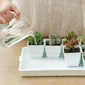 Miniatyrbillede 5 af 5: Sukkulenter Bakke Pot Sukkulenter Holdbar og Langtidsholdbar Tyk Bonsai Måtte Husholdning Haveartikler Tilbehør-Sort