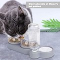 Miniatyrbillede 3 af 5: 2 Pak Vand- og Foder skåle, Automatisk Vanddispenser med Foder Skål, til Små eller Mellemstore Hunde og Katte