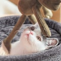 Miniatyrbillede 3 af 5: Hjerteformet kæledyrs seng til katte hunde bomuld fløjl blød killing hvalp sovesenge kennel varm kæledyrs rede kat tilbehør 55x19cmPink