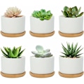Miniatyrbilde 1 av 5: 6 stk hvite keramiske sukkulentpotter Blomsterpotter Liten pottebeholder med bambusbrett for blomsterplante urtegave til bryllup jul bursdag