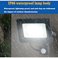 Miniatyrbild 5 av 5: LED-belysning med rörelsesensor 30W Svart utomhus IP65 Färgtemperatur: Kallt vitt 3000k/6500K - RWMotion sensor floodlight