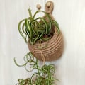 Miniatyrbild 2 av 5: Väggmonterade frukt- och grönsakskorgar bohemisk inredning handvävd hållare hängande förvaringskorg för köksstil, C