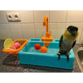 Miniatyrbillede 1 af 5: Automatisk fuglebad, papegøjer, svømmebassin, fuglefoder, kæledyr, badekar med hane (blå)
