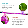 Miniatyrbillede 4 af 5: Plantelys med automatisk tænd/sluk-timerfunktion, udstyret med 48 LED'er til at fremme væksten af ​​indendørs planter.