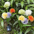 Miniatyrbilde 2 av 5: 4 stk dekorative utendørs solcellelamper, 5 solhoder svingende blomster IP65 vanntette solcellelamper for hage, gårdsplass