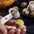 Miniatyrbilde 4 av 5: Hjemmekjøkkenhjelp Eggsaks 4 Stykker Rustfritt Stål Vaktelegg Saks Eggskjærer Åpner Sigarett Cutter Rustfritt Stål Blad Verktøy Svart-DENUOTOP