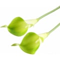 Miniatyrbillede 3 af 4: 10 stk. Realistiske PU Kunstige Calla Lily Bryllupsblomsterbuketter Mode Bryllup Ægteskab, Forlovelse, 18. 21. 30. 40. 50. 60. 70. 80. 90.