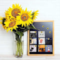 Miniatyrbild 4 av 5: Solros Push Pins Solros Push Pins Blomma Kork Push Pins Solros Push Pins för Foton Väggkartor (40-pack)