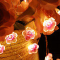 Miniatyrbild 5 av 5: Ljusslinga med 30 LED rosa körsbärsblomslampor, batteridriven, för jul, flickrum, sovrum, inomhus, utomhus, bröllop,