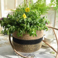 Miniatyrbild 2 av 5: Hängande planter vävd växtförvaringskorg inomhus utomhus makramé krukväxthängare modern inredning