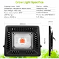 Miniatyrbillede 2 af 5: 50W LED Havebrugspære, IP67 Vandafvisende Plantelampe, LED Dyrkningslampe til Hydroponics, Indendørs Planter og Drivhusefrøplanter med EU-stik