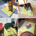 Pikkukuva 4 / 5: Lemmikin Koiran Jäähtyvä Alusta Kesä Jäähtyvä Alusta Jäätyyny Koiran Nukkumisalusta Koiran Talo Koiran Sänky (50x90CM)