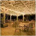 100M 600 LED-ljusslinga Karneval Bröllop Utomhus Inomhus Trädgårdsbelysning（Varmvit）--