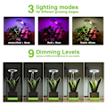 Miniatyrbillede 5 af 5: Vækselys til indendørs planter, Spectrum Halo LED-lys med automatisk højdejusterbar timer, til planter