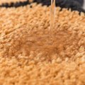 Miniatyrbilde 3 av 5: Inngangsdørmatte Soverom Inngangsdørmatte Bad Tegneseriebjørn Sklisikker Absorberende Badmatte Puff