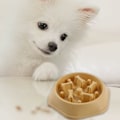 Miniatyrbillede 2 af 5: Langsom foder skål til hund, basis skåle til killing, langsom mad skål til kat, kæledyr solrig gul