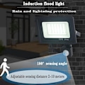Miniatyrbild 2 av 5: LED-belysning med rörelsesensor 30W Svart utomhus IP65 Färgtemperatur: Kallt vitt 3000k/6500K - RWMotion sensor floodlight