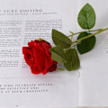 Miniatyrbillede 4 af 5: 10 stk. ægte touch rose blomster flanel blomsterbuket enkelt hoved rose kunstige blomster buket til bryllup hjem indretning