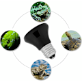 Miniatyrbillede 4 af 5: Turtle Heat Bulb 50-100W Keramisk Varmepære Infrarød Lamper Varmelampe til Reptiler og Padder (50W)