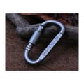 Mini Micro 2 Karabiner med skruvlock, 2-pack