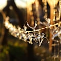 Miniatyrbilde 2 av 5: Julelys med reinsdyr, batteridrevne LED-lys, juledekorasjon, 10 LED-lys, soverom