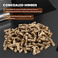 Miniatyrbillede 5 af 5: 100 stk. messing skjulte tøndehængsler trækasser skab usynlige møbelhængsler 4X20Mm