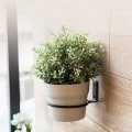 Miniatyrbilde 2 av 5: 2 stk veggbraketter for blomsterpotter, ringformet metallveggbrakett med skruer Planterkroker Holder Blomsterpottebrett Stativbrakett for uteplass balkong Ga