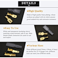 Miniatyrbilde 4 av 5: 480 stk Flat Socket, 2.8mm 4.8mm 6.3mm Hann og Hunn Flat Plugg Terminal Spade Kabel Lugs med Isolerende Hylsen Sortimentsett (Gull)