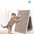 Miniatyrbilde 4 av 5: Kattemynte katteskraper kattunge skrape katteskraper katteskrape kjæledyrrekvisita ball