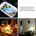 Miniatyrbilde 5 av 5: Varmelampe for skilpadder - Reptilvarmelampe med 2 UVA UVB pærer 25W 50W Landskilpaddelampe Lang base 360 ​​rotasjon for skilpadde reptil L